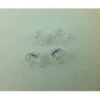 Arai Shield Base Plate Screw Set